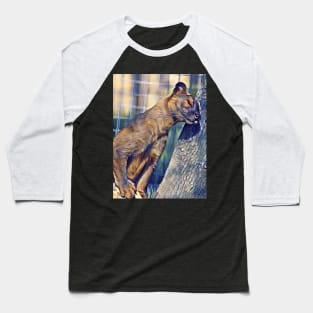 Fossa Baseball T-Shirt